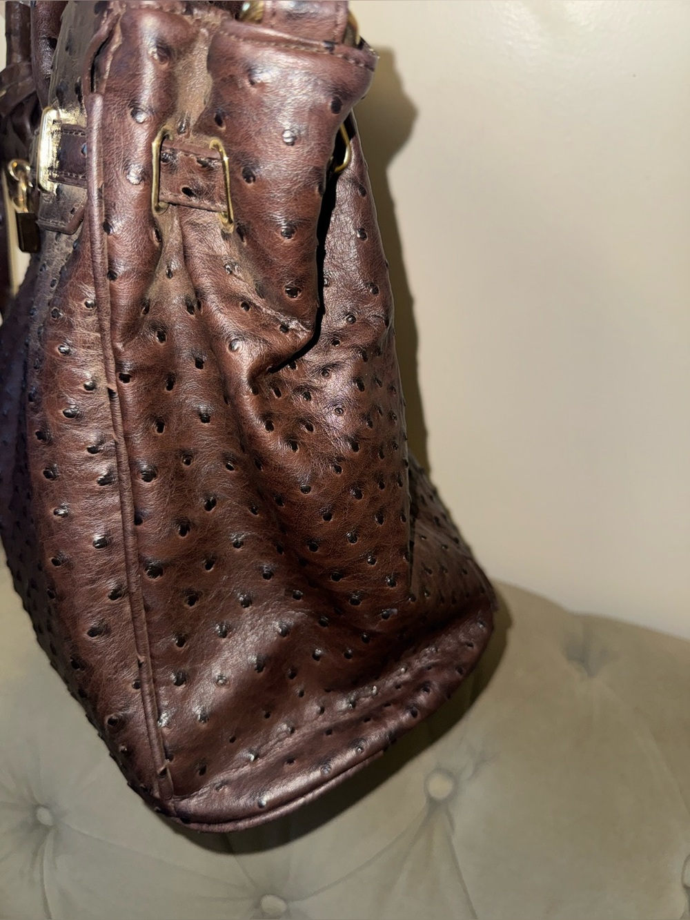 Women's Dark Brown Ostrich-Effect Tote Bag with Gold Hardware - Picture 3 of 6